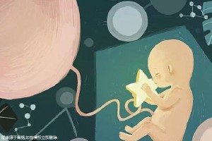 有偿同志借卵怎么选